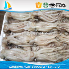 Tentáculo congelado del loligo chinensis del tentáculo del calamar, tentáculo y cabeza del calamar de illex tentacle.frozen para la venta